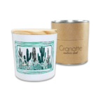 Vela Vegetal Aromática Para Jardim | Garden Cactus Verde - Tu